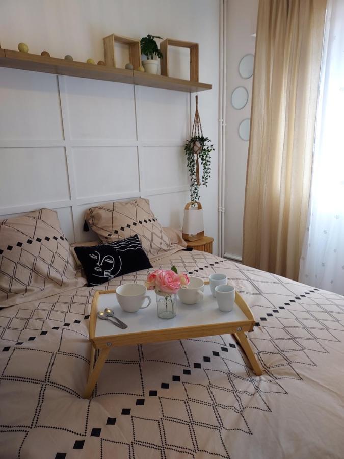Au Nid D'or : Confort Hyper Centre Apartment Bethune